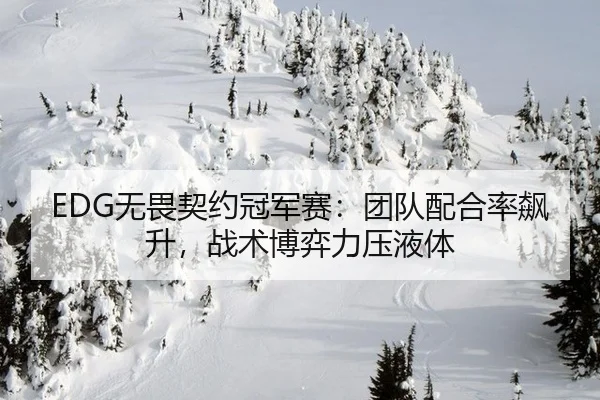 EDG无畏契约冠军赛：团队配合率飙升，战术博弈力压液体